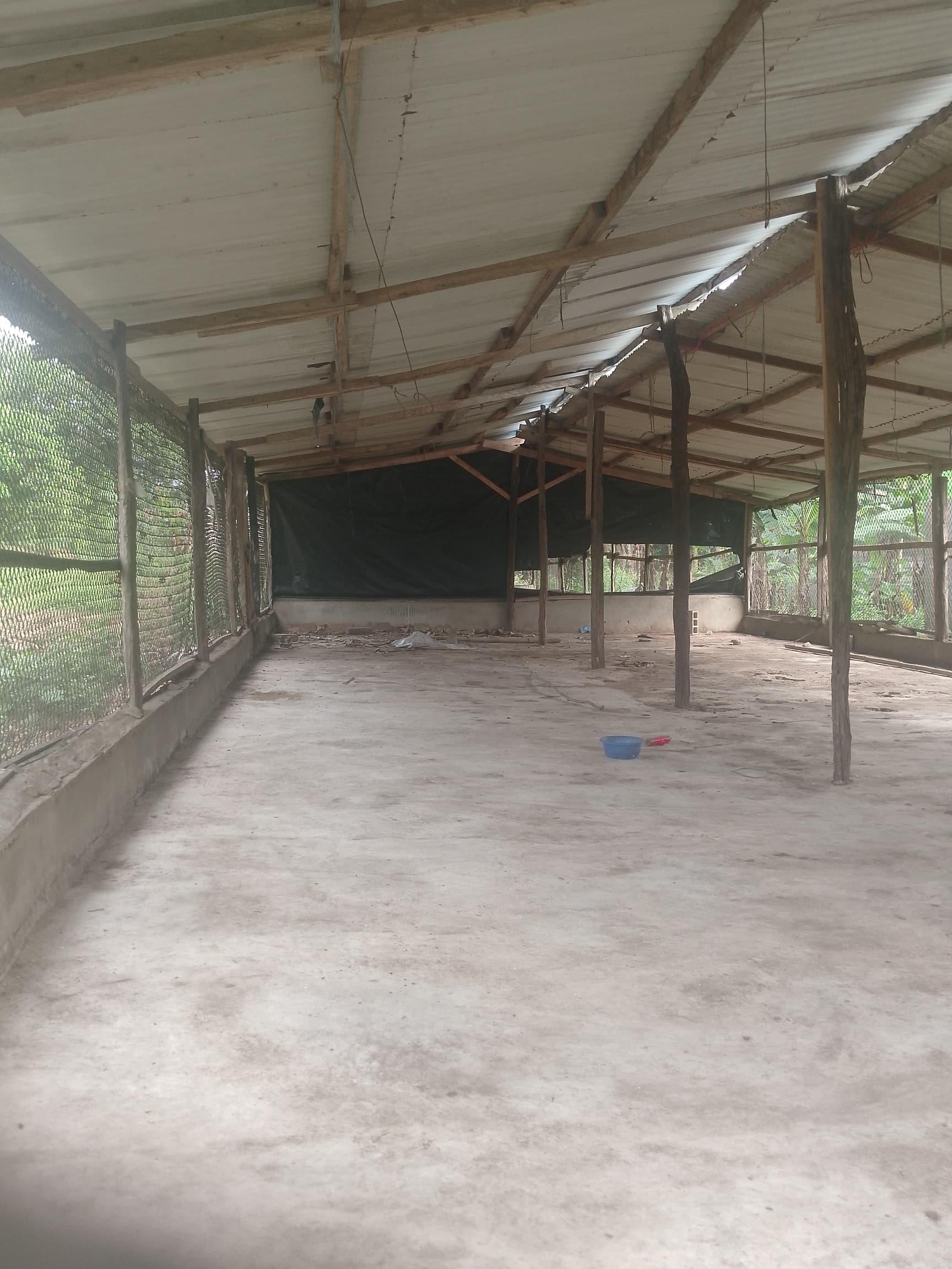 Location ferme 3000 sujets à Azaguie