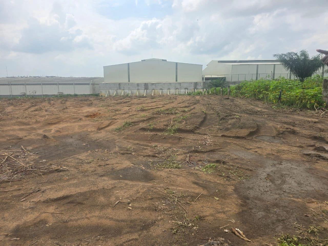 Yopougon sur autoroute pk26 vente terrain 2ha2000m2 (ACD)