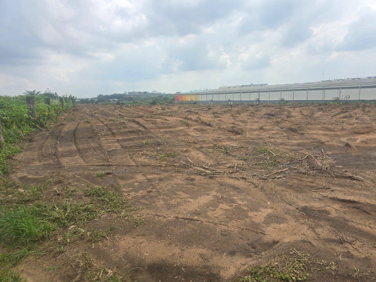 Yopougon sur autoroute pk26 vente terrain 2ha2000m2 (ACD)