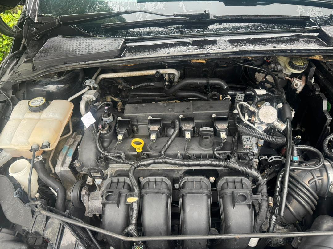 Ford Focus en vente
