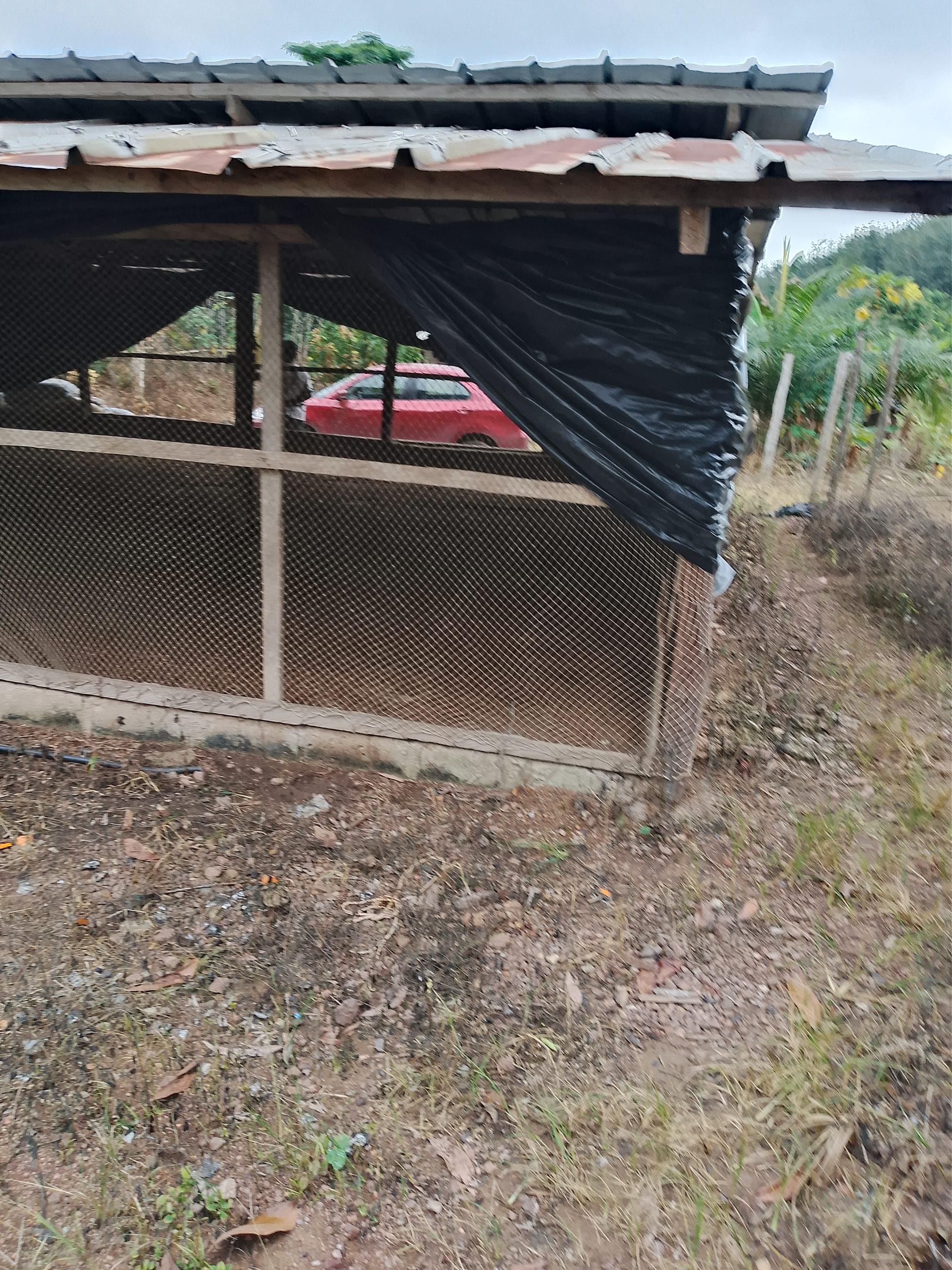 Une ferme 4000 sujets à Azaguié