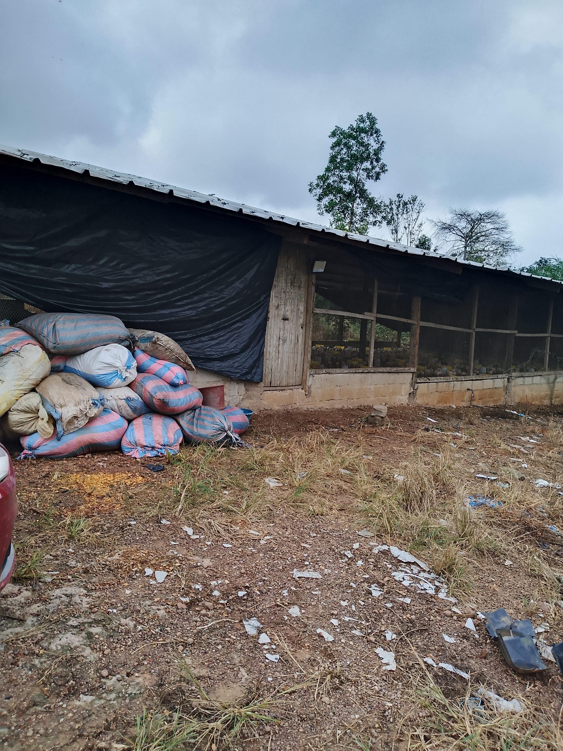 Une ferme 4000 sujets à Azaguié