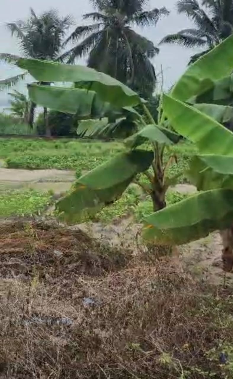 Terrain pied dans l’eau a la Riviera Golf Beach