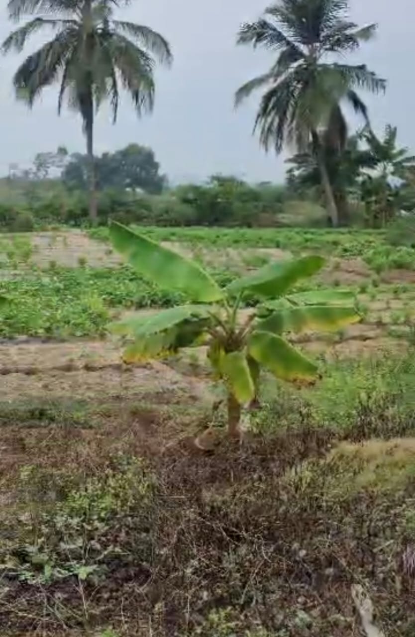 Terrain pied dans l’eau a la Riviera Golf Beach