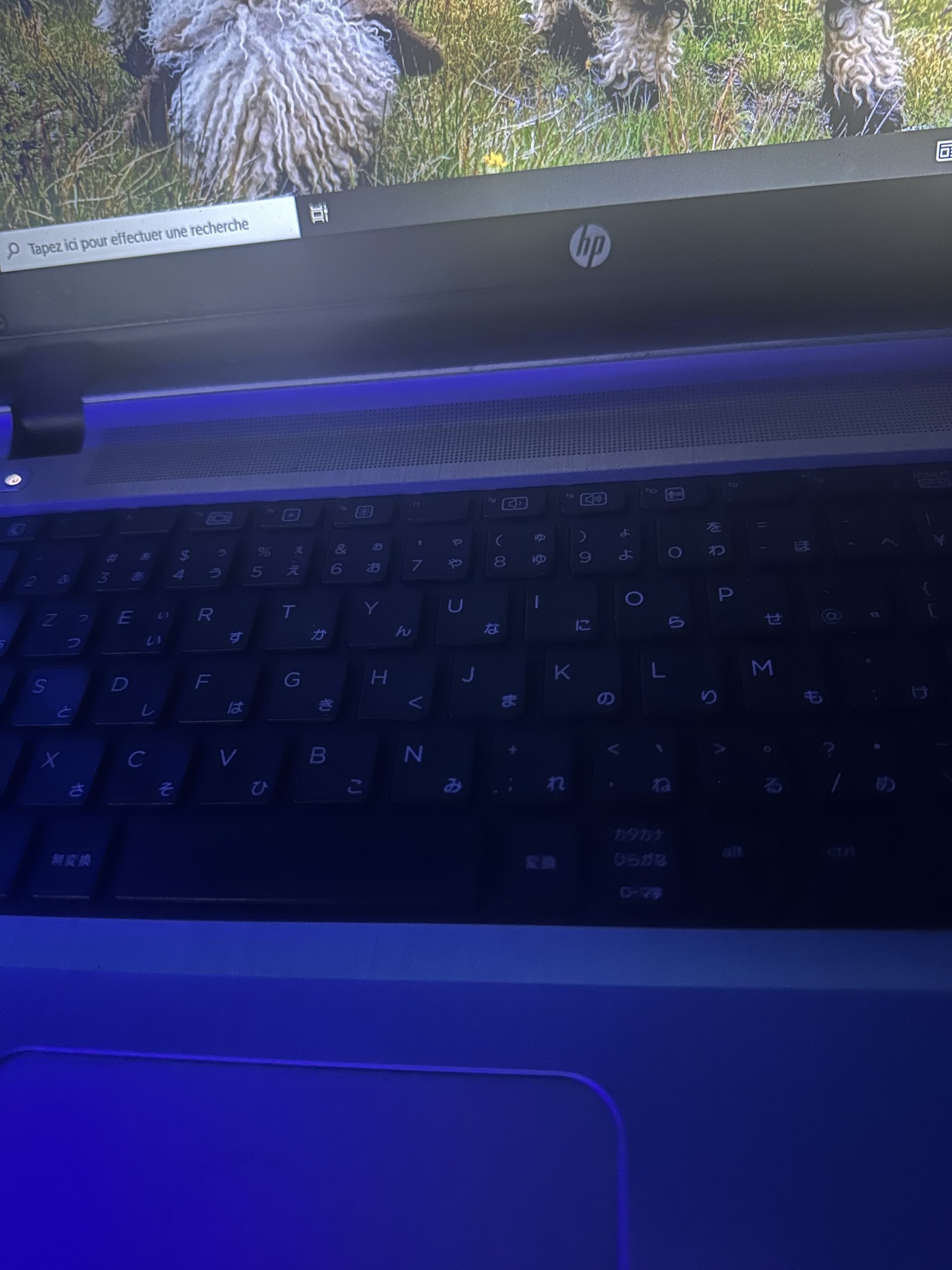 Un ordinateur HP ADN tout neuf bon état