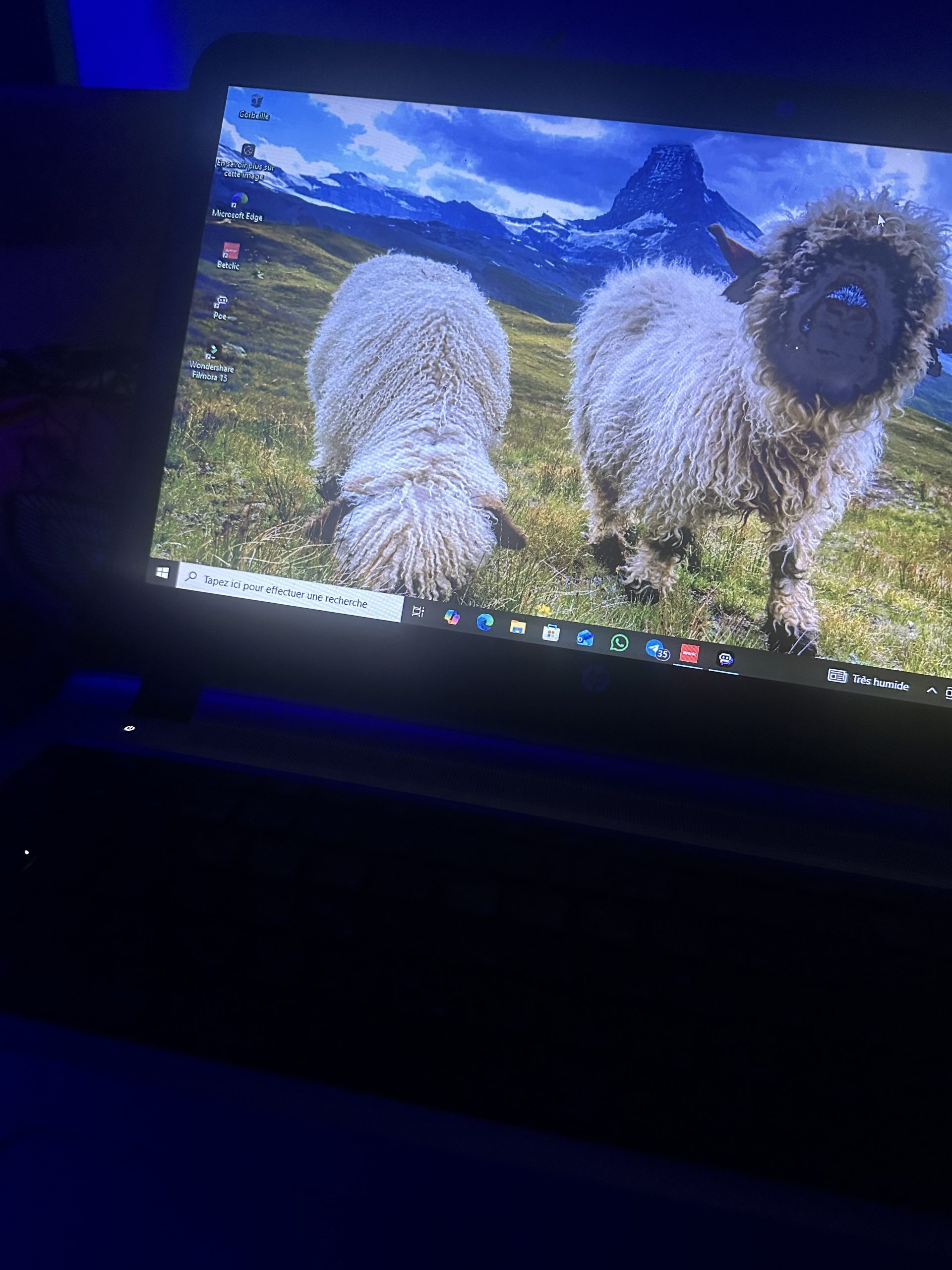 Un ordinateur HP ADN tout neuf bon état