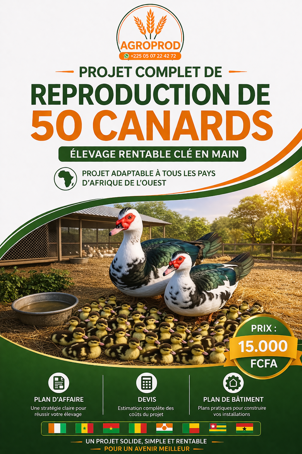 Projet clé en main d’élevage de 50 canards