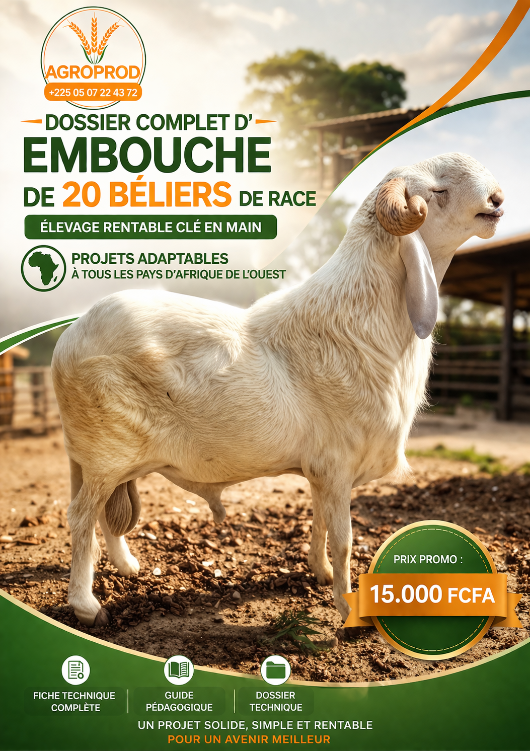 Projet clé en main d’embouche de 20 beliers de race