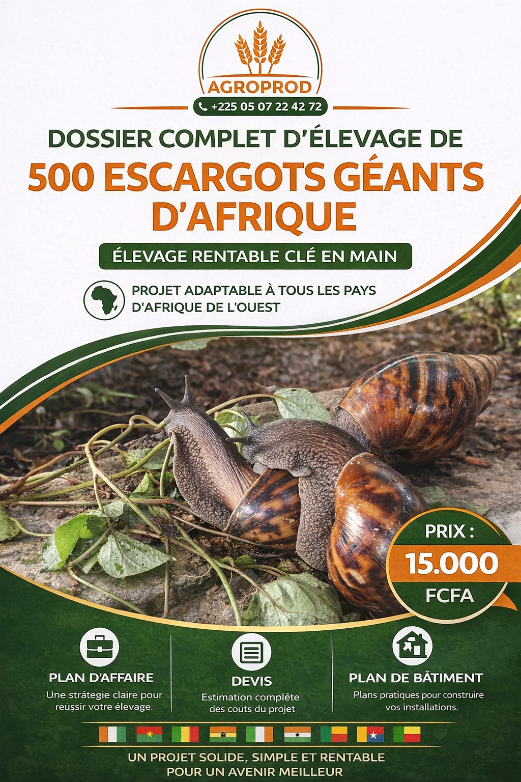 Projet d’élevage de 500 escargots géants d’Afrique