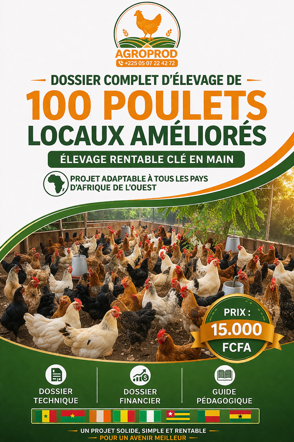 Projet d’élevage de 100 poulets locaux améliorés