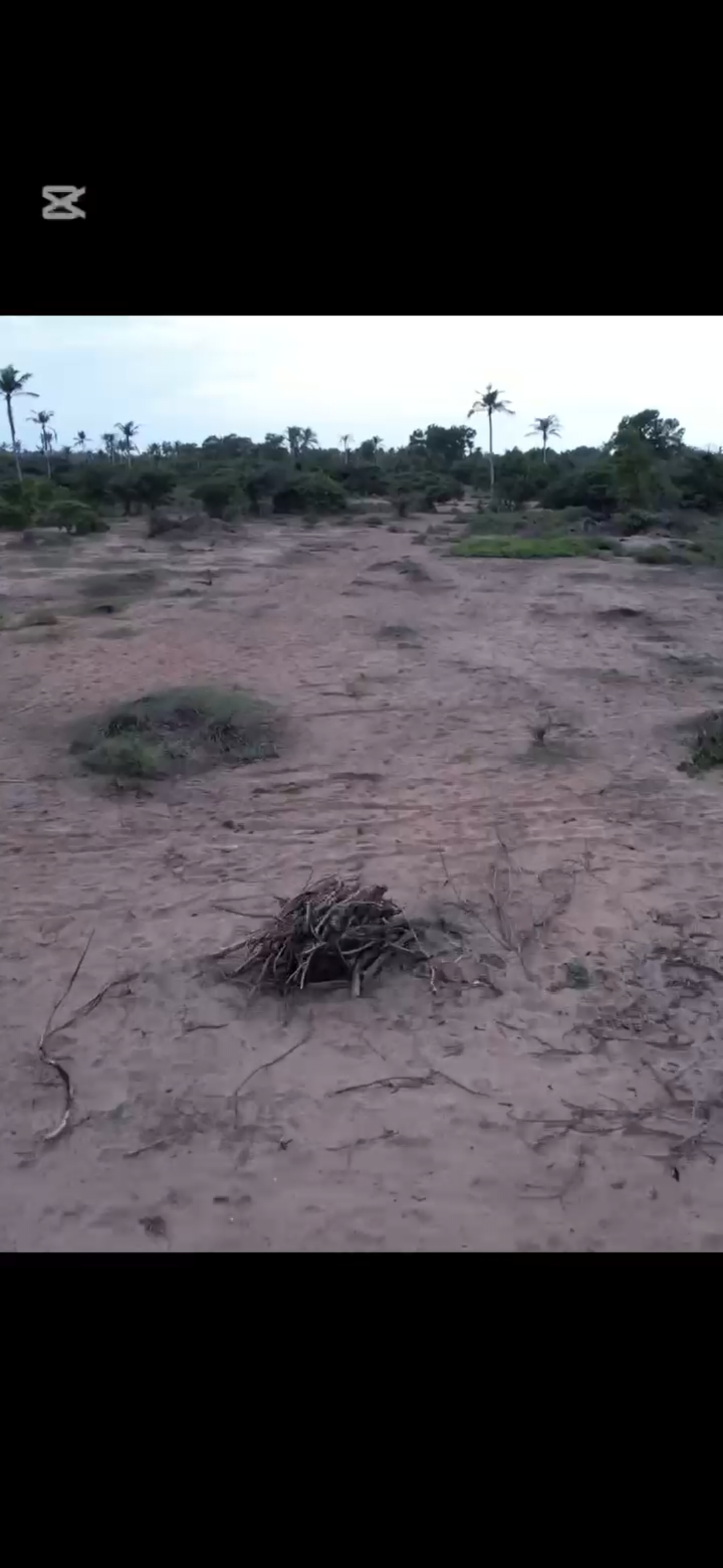 Vente – 3 HA avec ACD