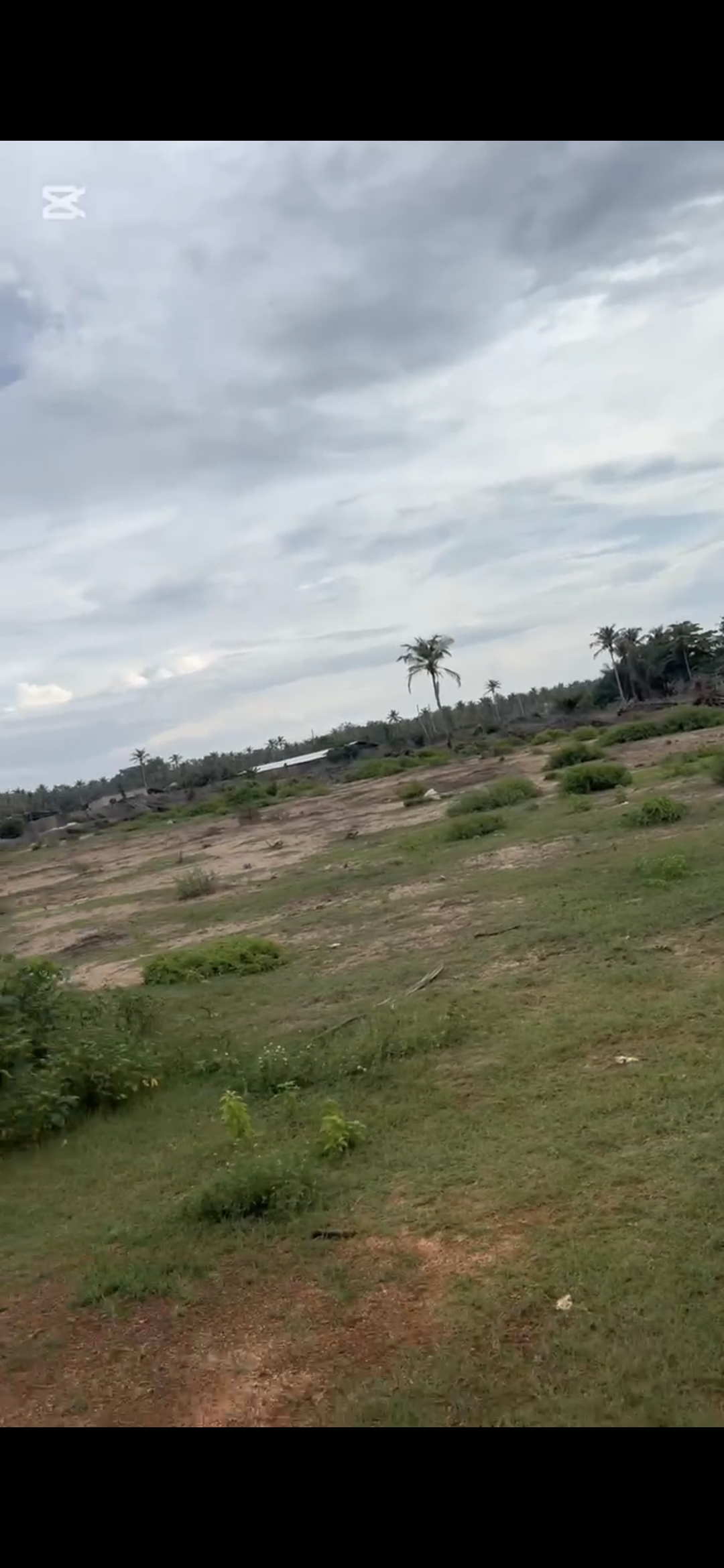 Vente – 3 HA avec ACD