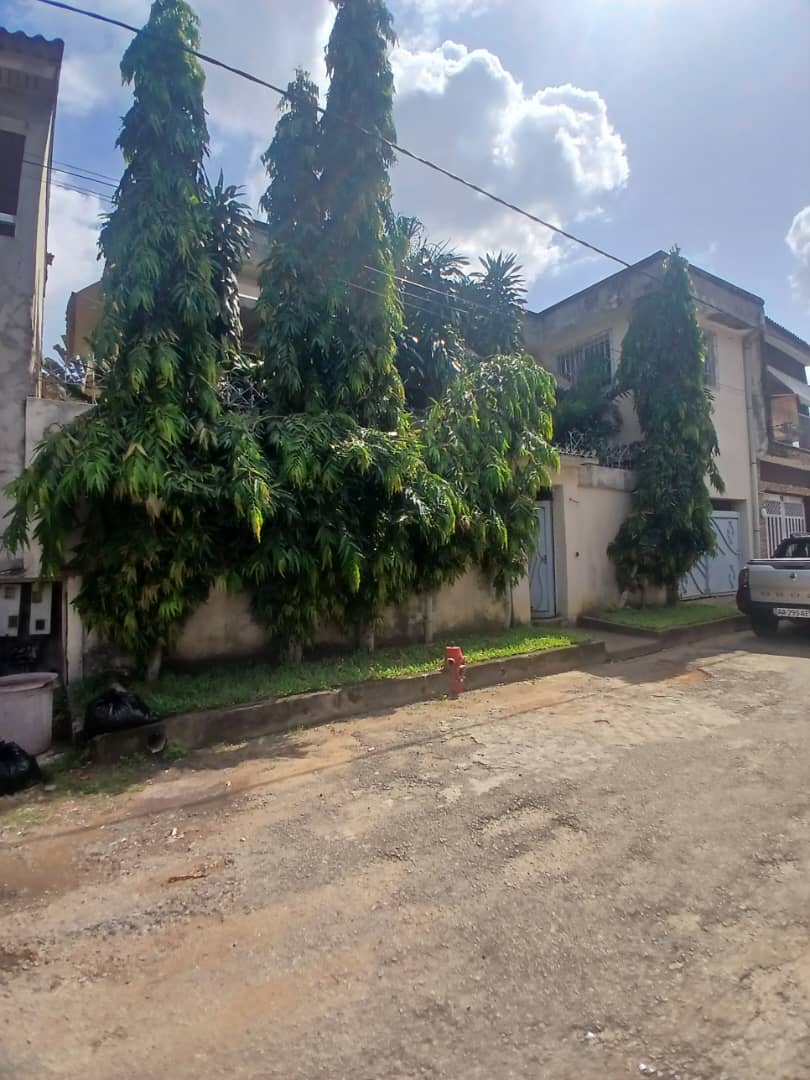 Villa duplex aux rosiers Pro 5