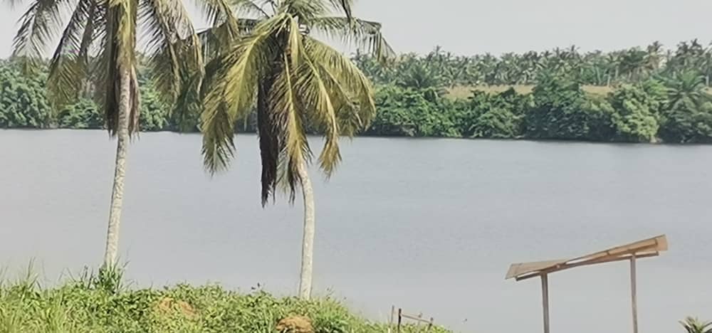 Un lot d’un Hectare pied dans l’eau a Assinie mafia