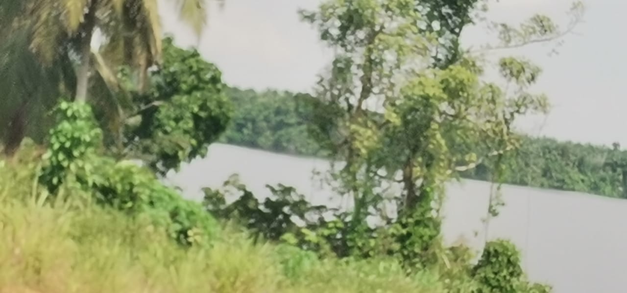 Un lot d’un Hectare pied dans l’eau a Assinie mafia
