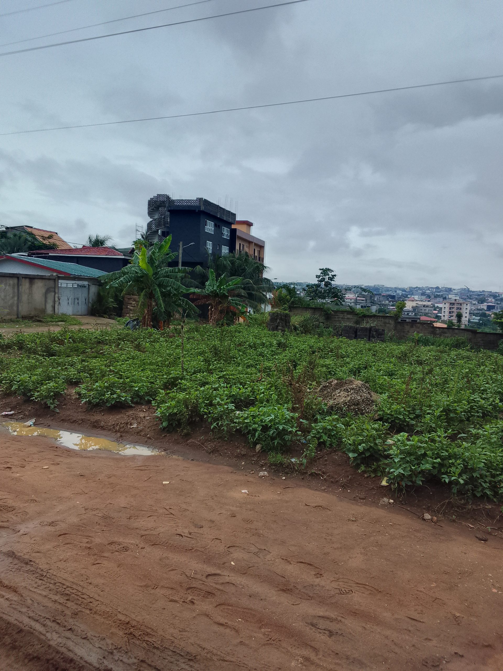 2 lots a Acd a vendre a Bingerville