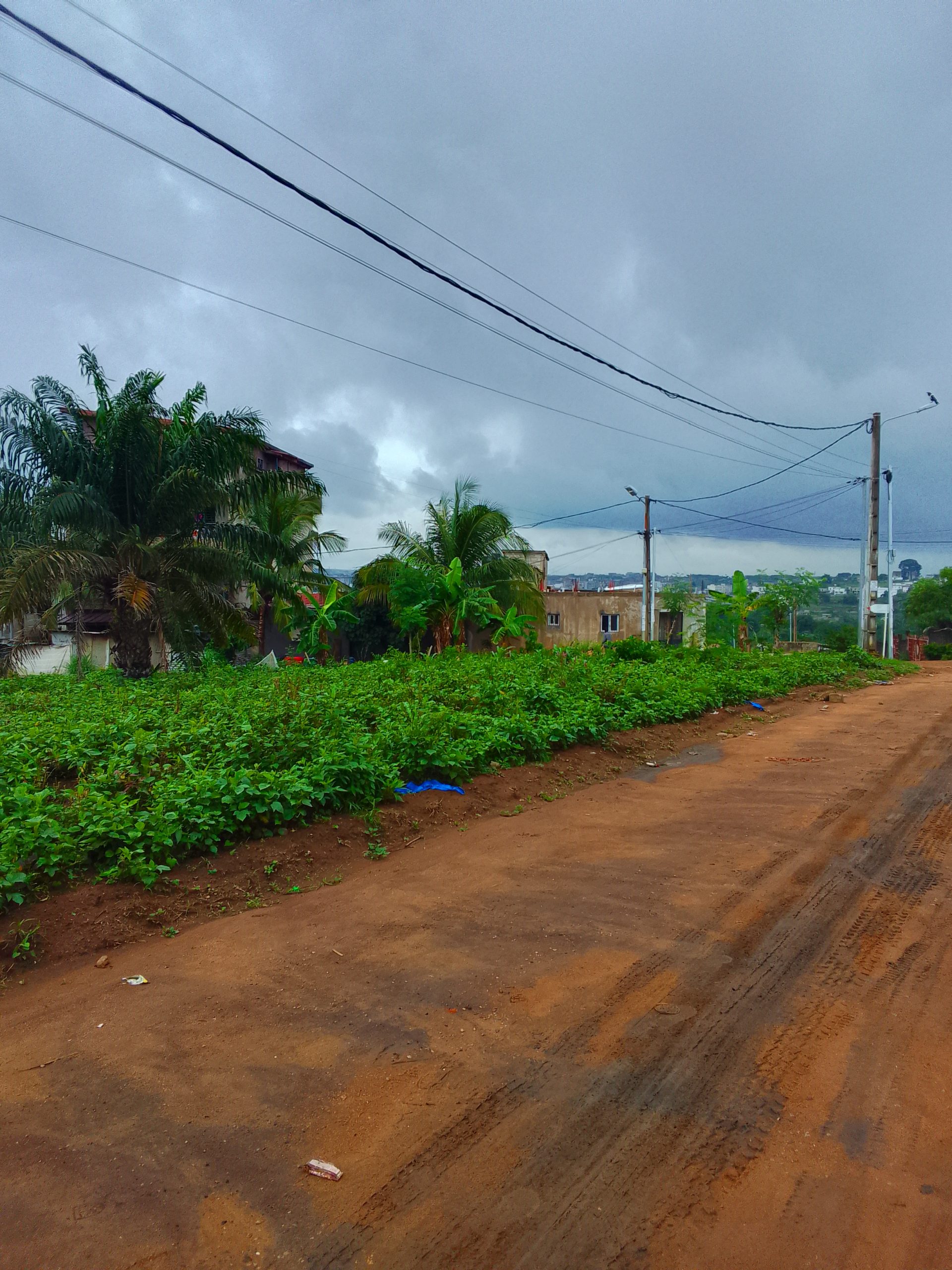 2 lots a Acd a vendre a Bingerville