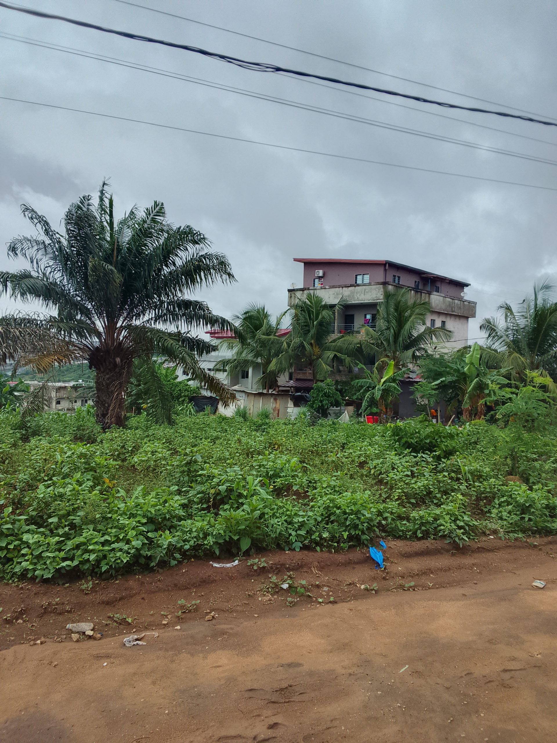 2 lots a Acd a vendre a Bingerville