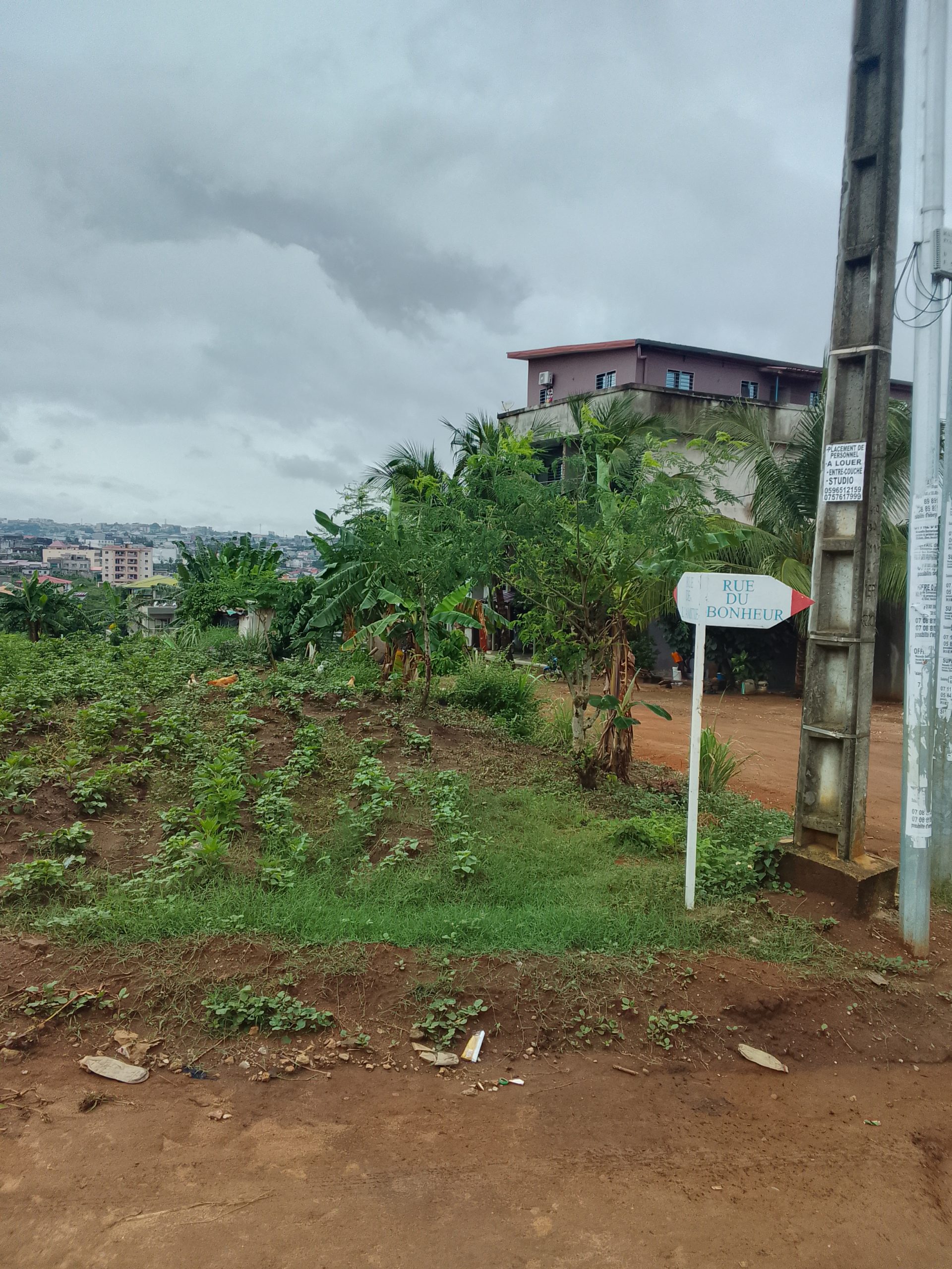 2 lots a Acd a vendre a Bingerville