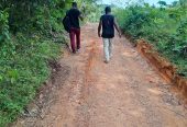 Location 01 hectare pour manioc à Anyama