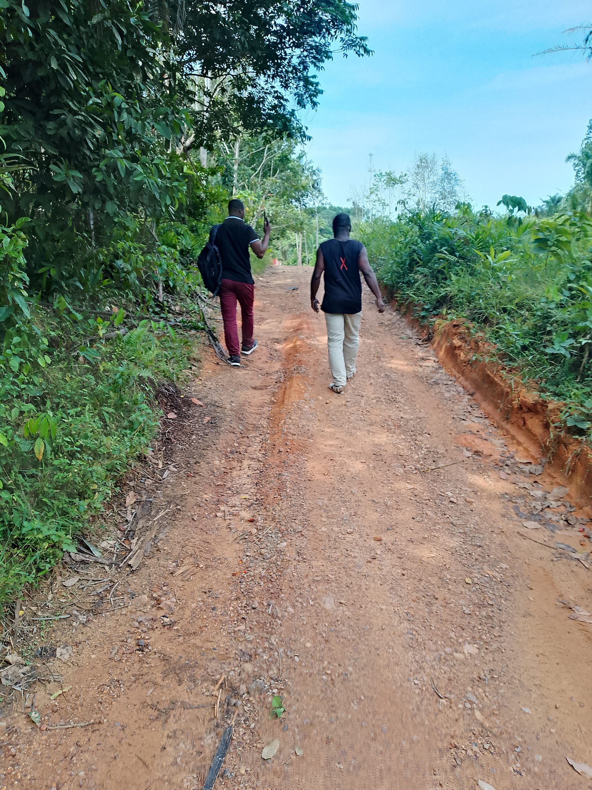 Location 01 hectare pour manioc à Anyama