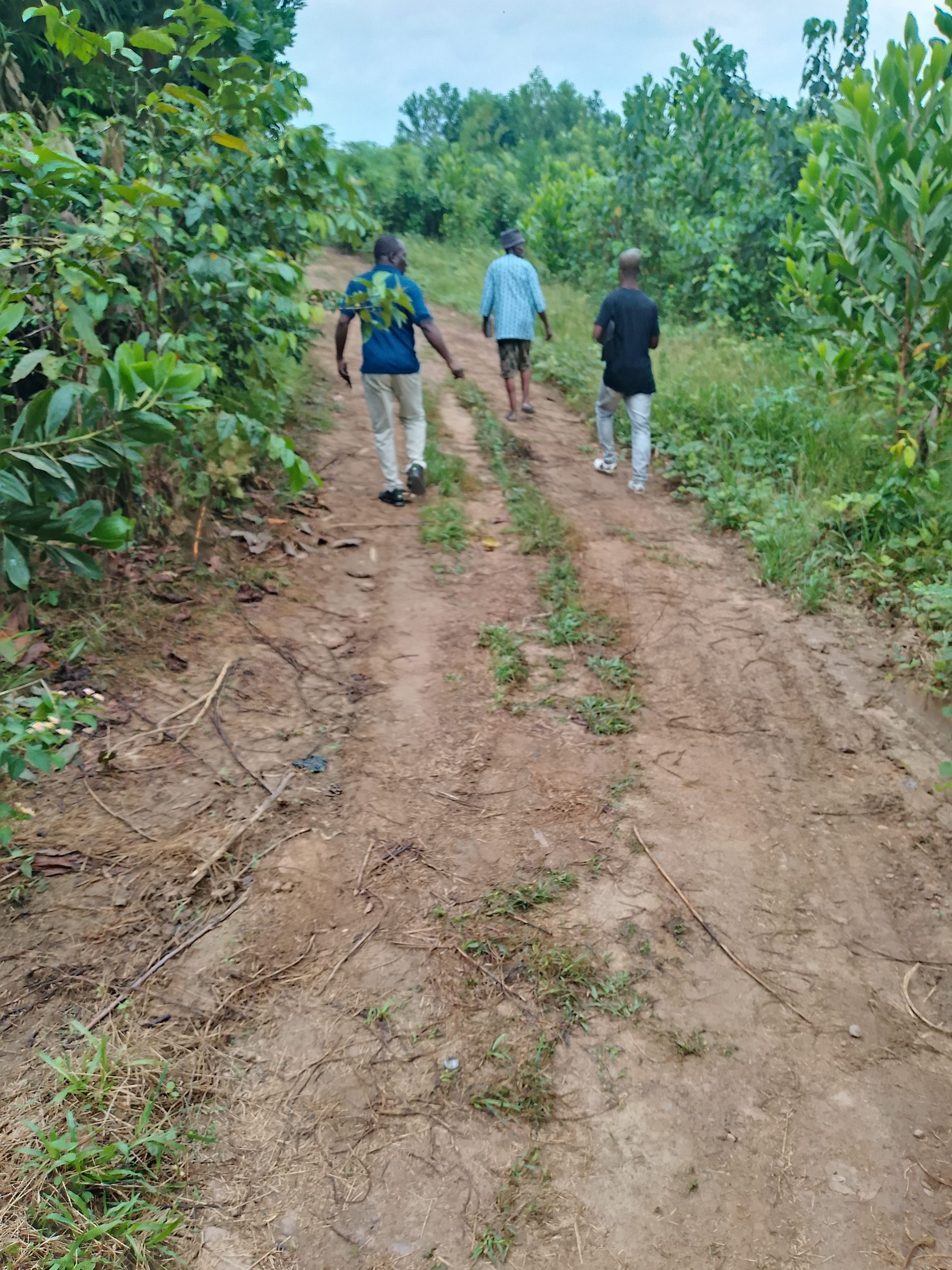 Plusieurs terrains 400 M2 à Azaguie