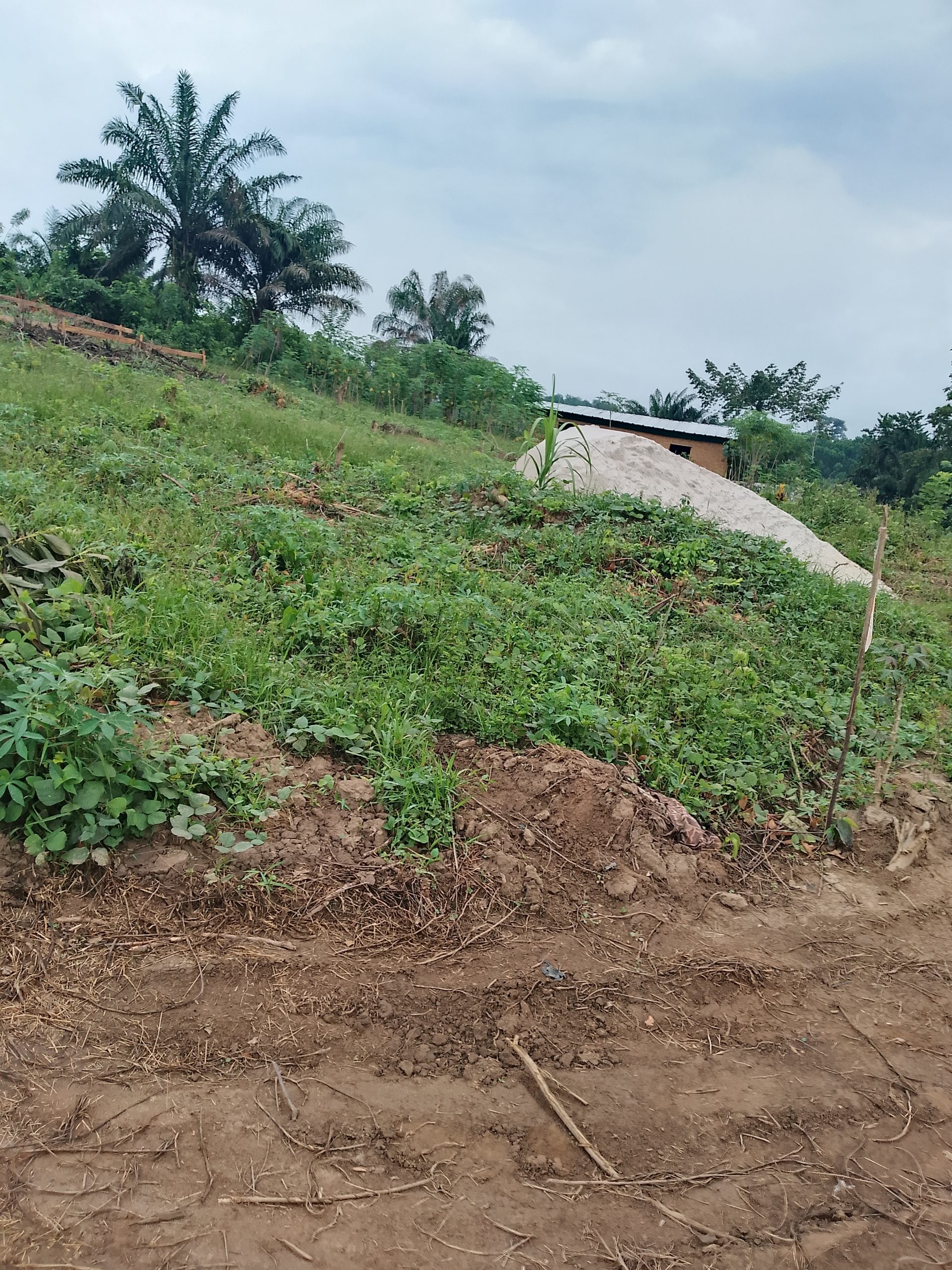 Plusieurs terrains 400 M2 à Azaguie