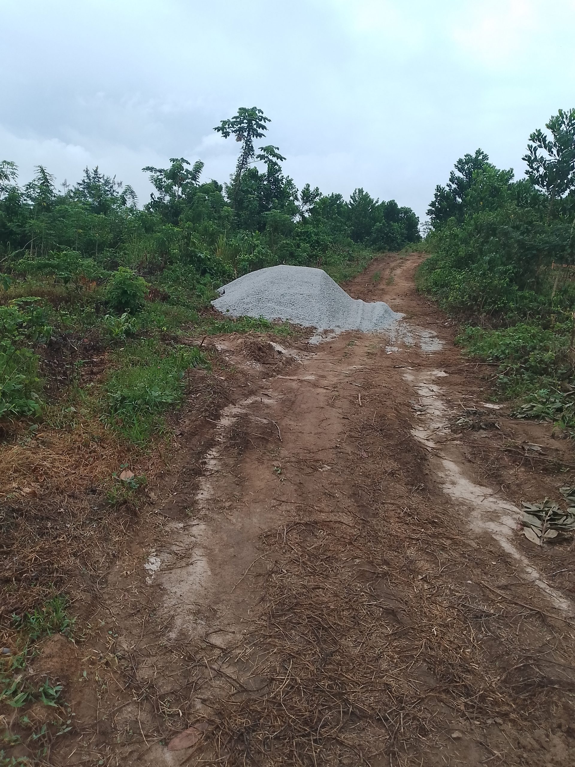Plusieurs terrains 400 M2 à Azaguie