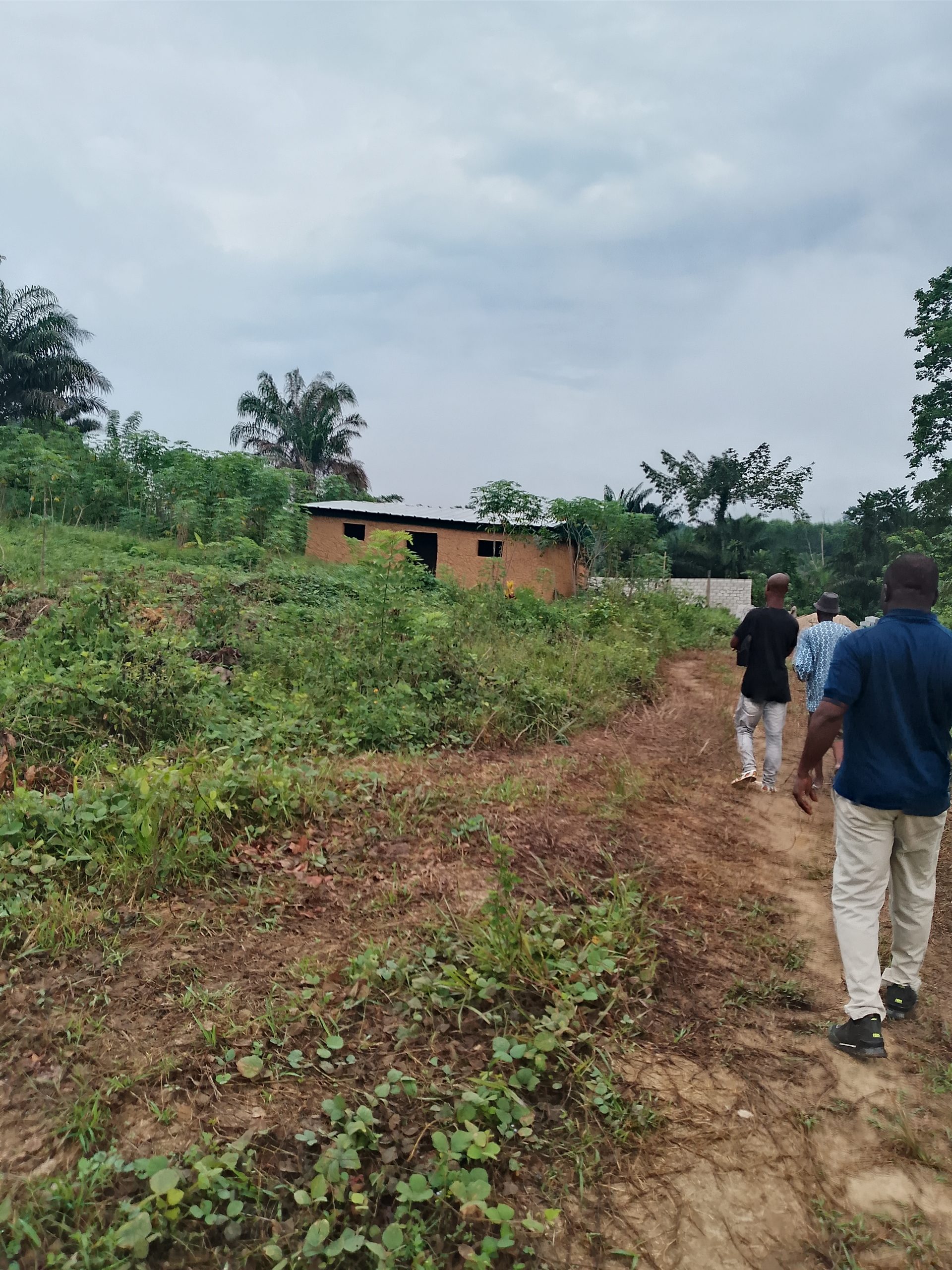 Plusieurs terrains 400 M2 à Azaguie