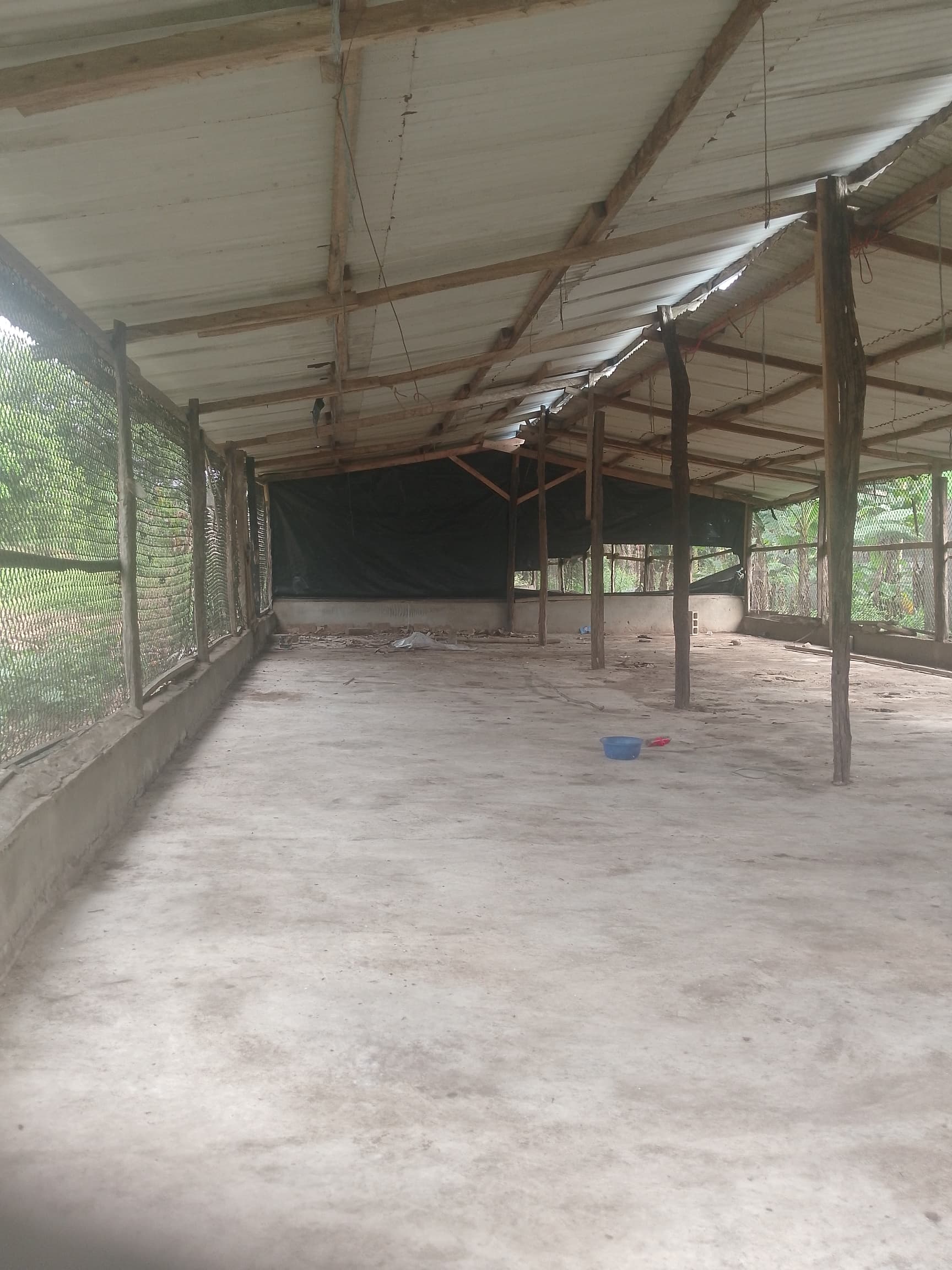 Location ferme 3000 sujets à Azaguie
