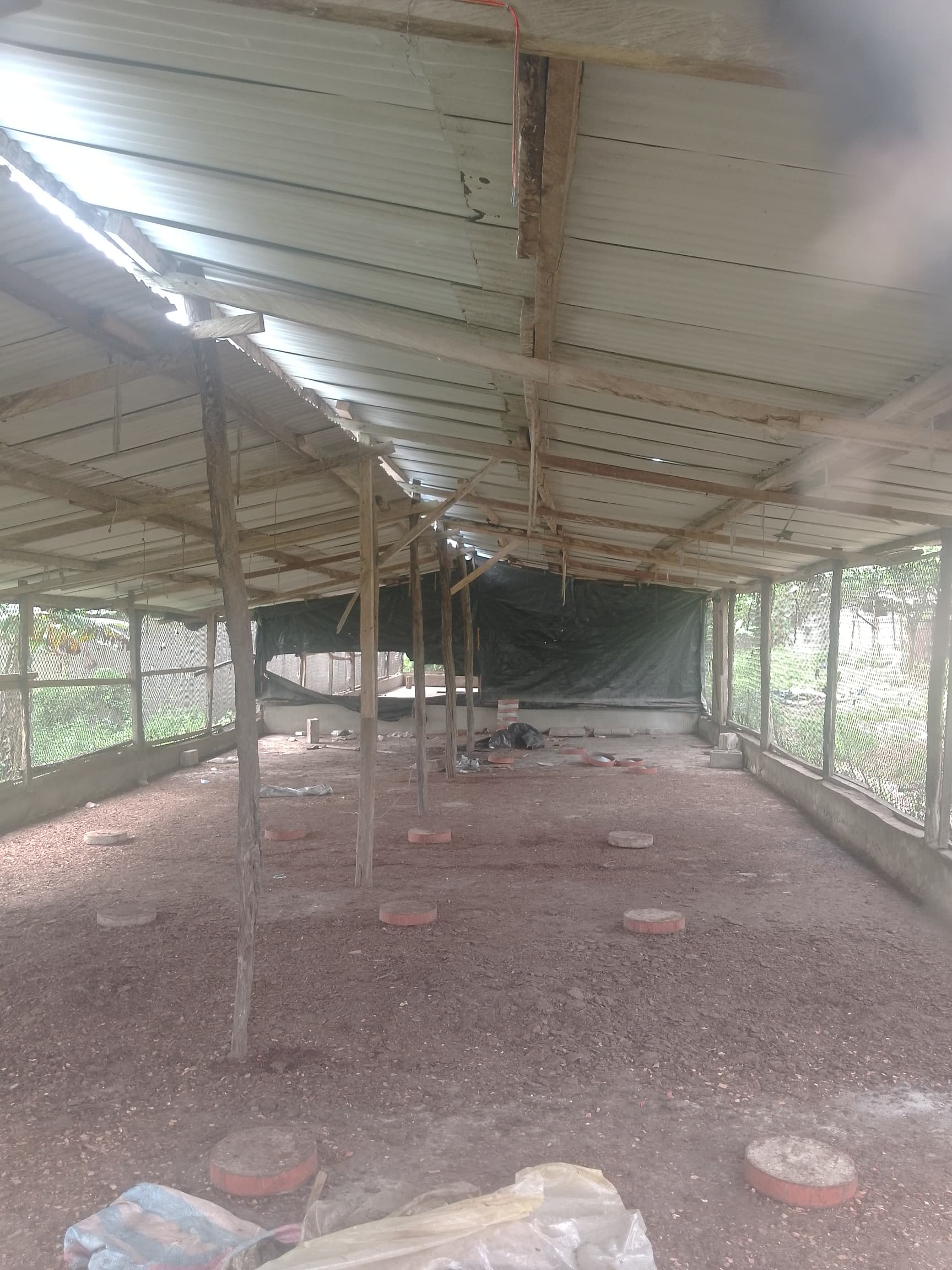 Location ferme 3000 sujets à Azaguie