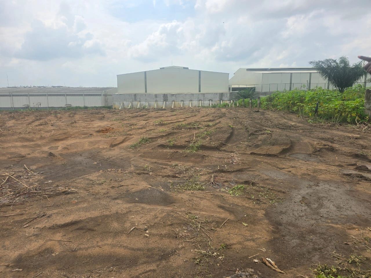 Yopougon sur autoroute pk26 vente terrain 2ha2000m2 (ACD)