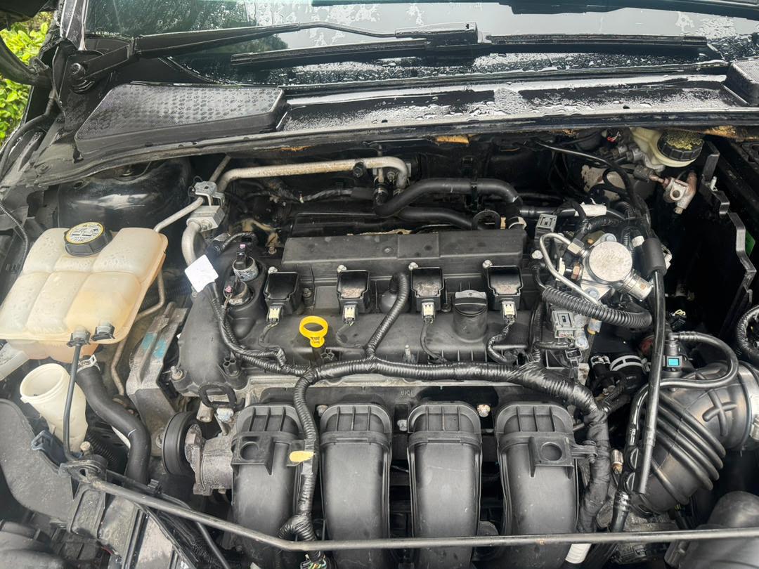Ford Focus en vente