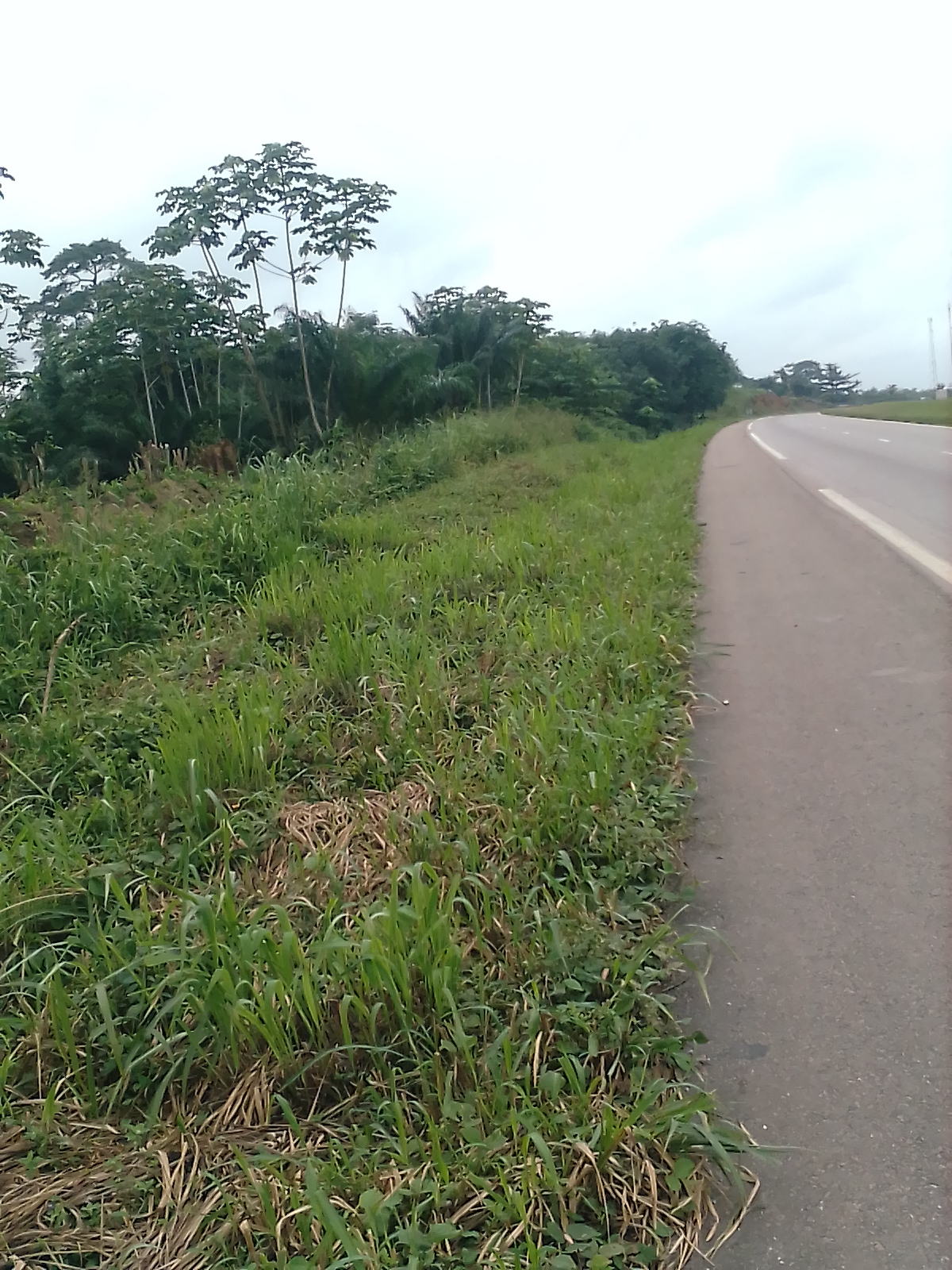 Terrains 400 m2 proche goudron à Anyama