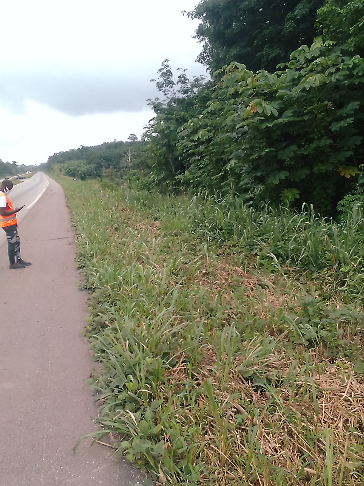 Terrains 400 m2 proche goudron à Anyama