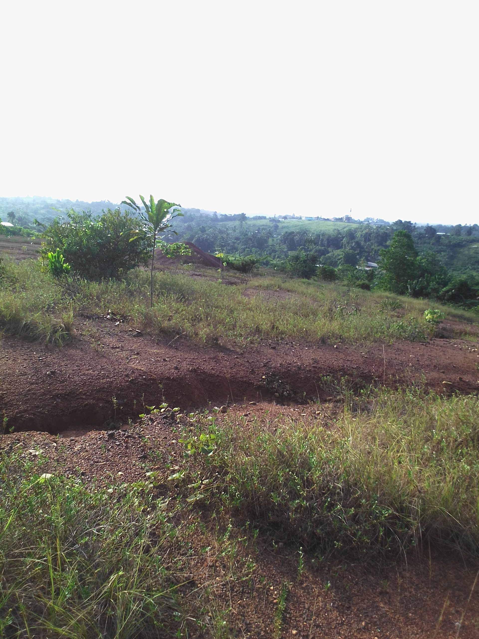 Terrain 700 m2 à Yopougon- zone industrielle