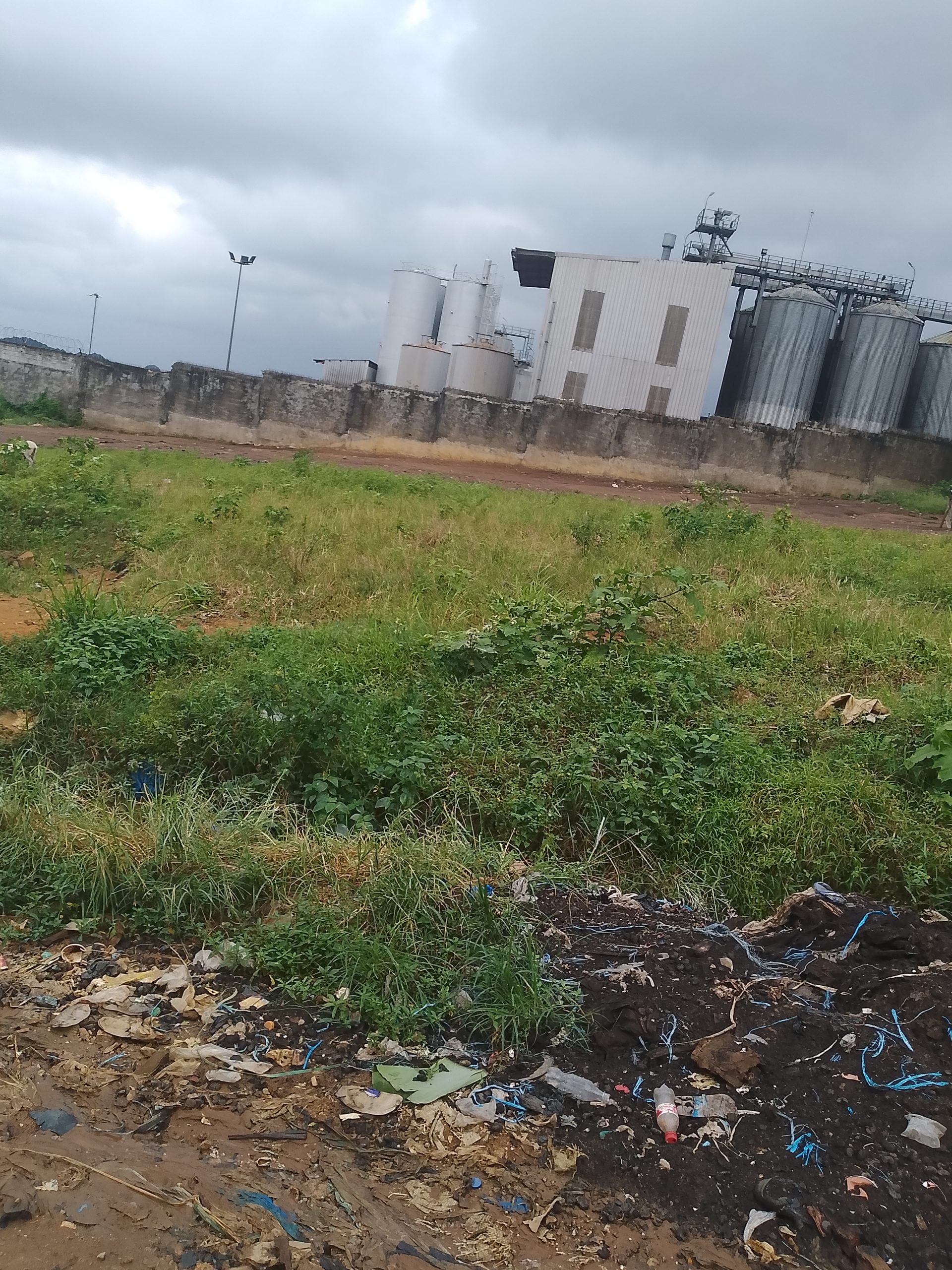 Terrain 3000 M2 à Yopougon zone industrielle