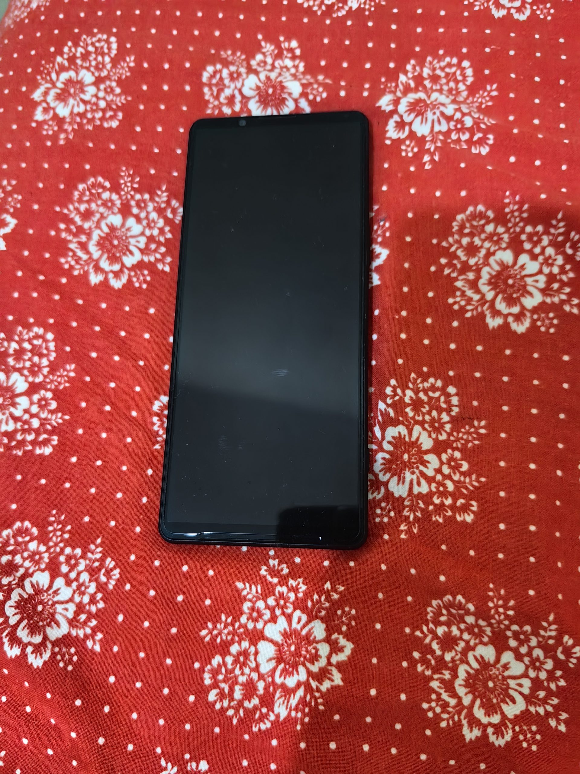 Sony Xperia 1 Mark 5