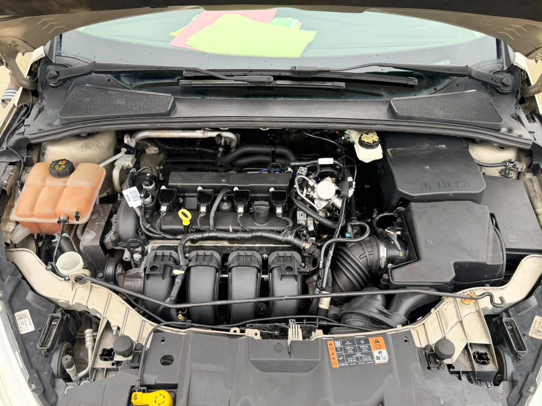 Ford Focus en vente
