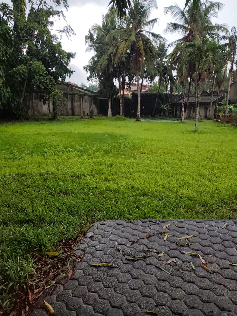 Cocody golf4 Beverly Hills vente terrain nu 600m²