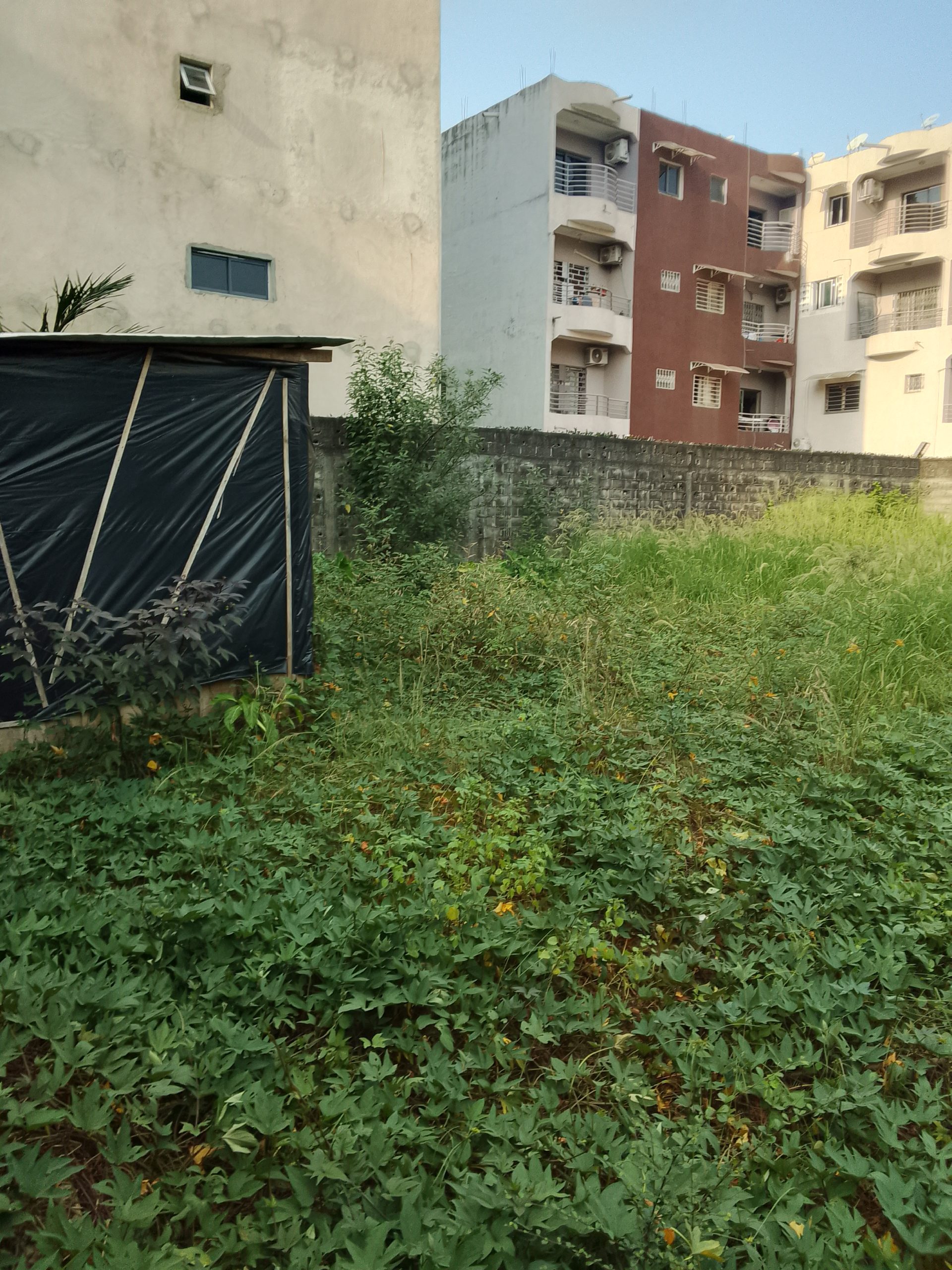 Terrain constructible en Bail a la Riviera Faya