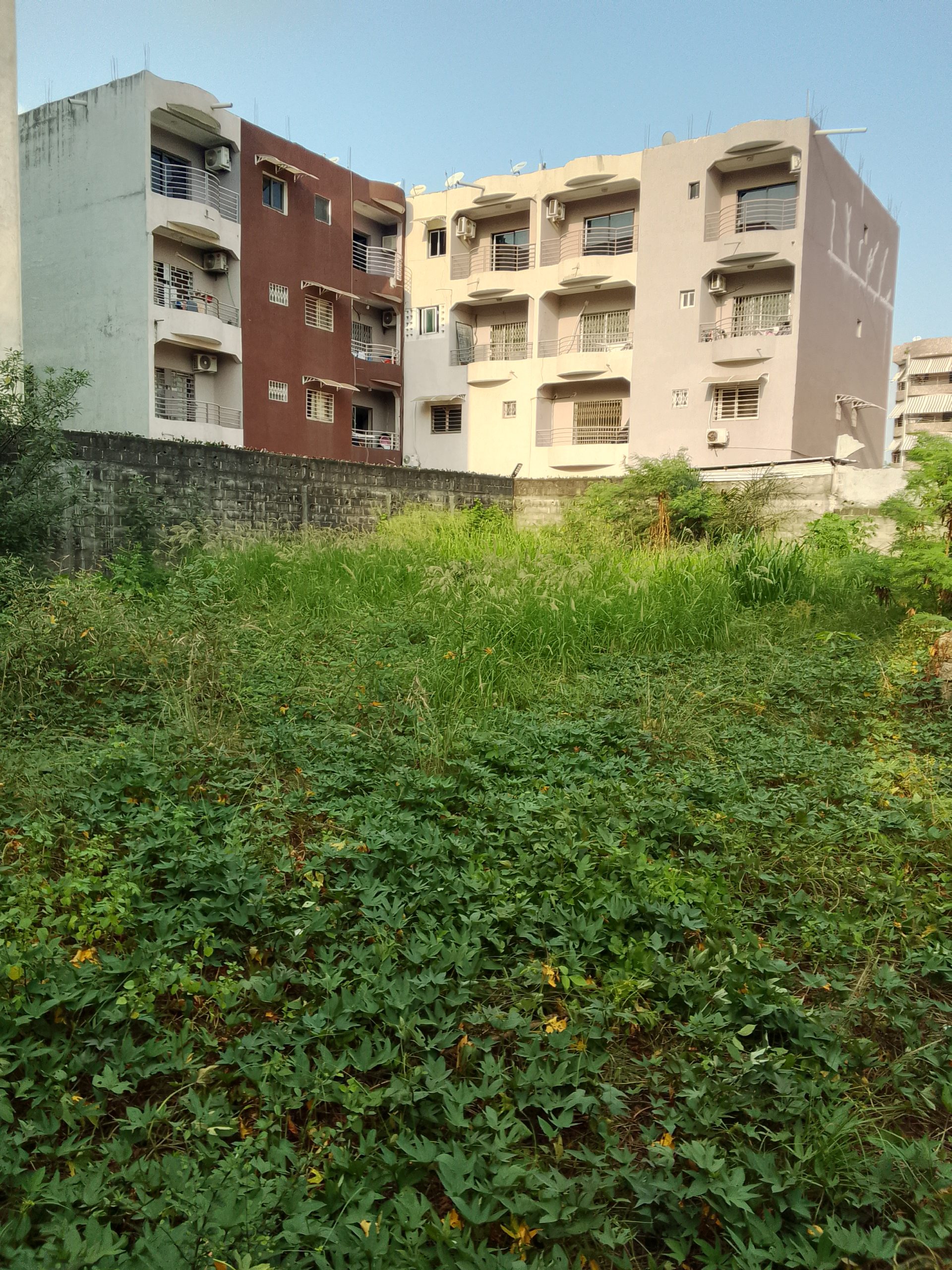 Terrain constructible en Bail a la Riviera Faya