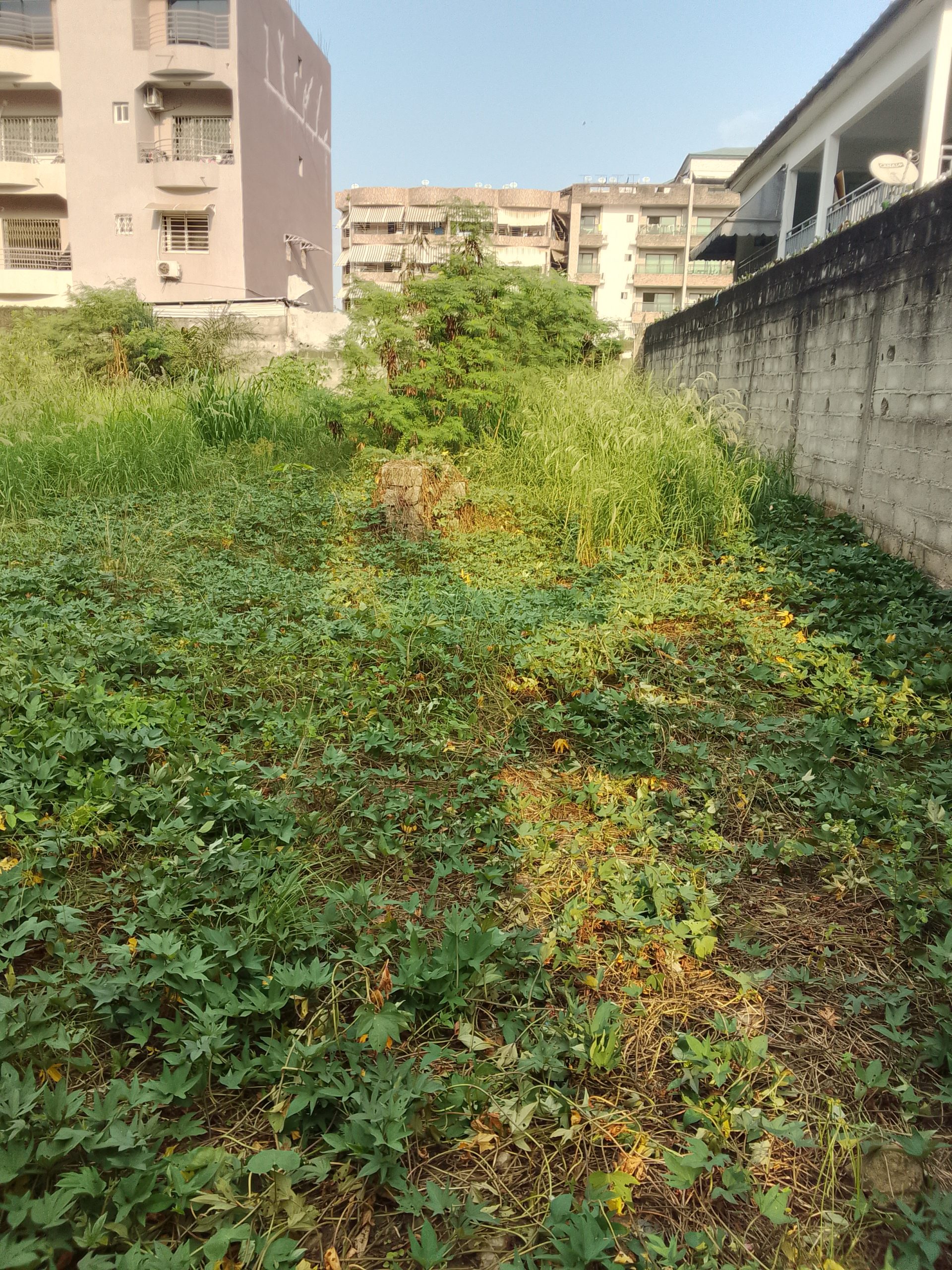 Terrain constructible en Bail a la Riviera Faya