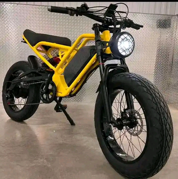 Vélo électrique