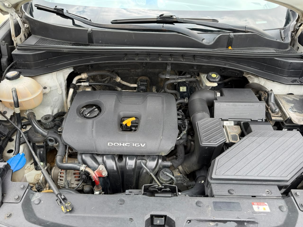 Kia sportage en vente