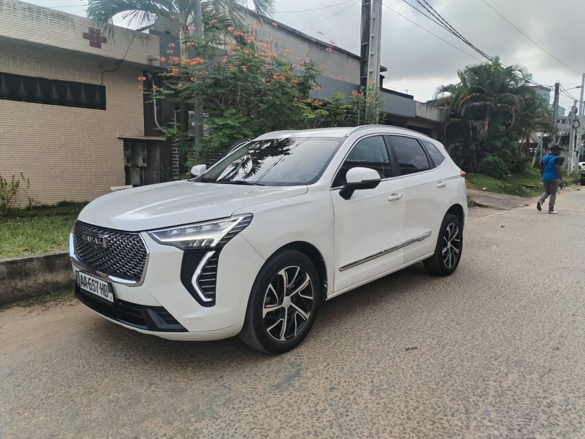 Haval Jolion en vente