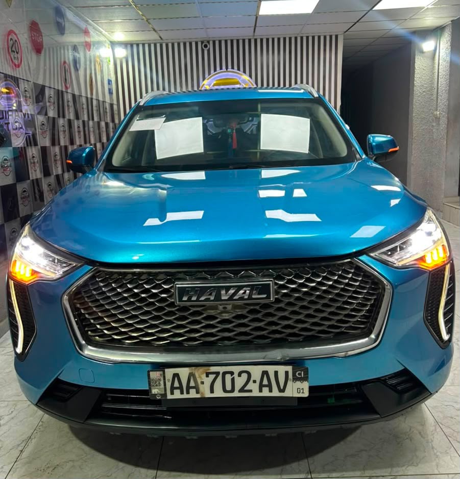 Haval Jolion en vente