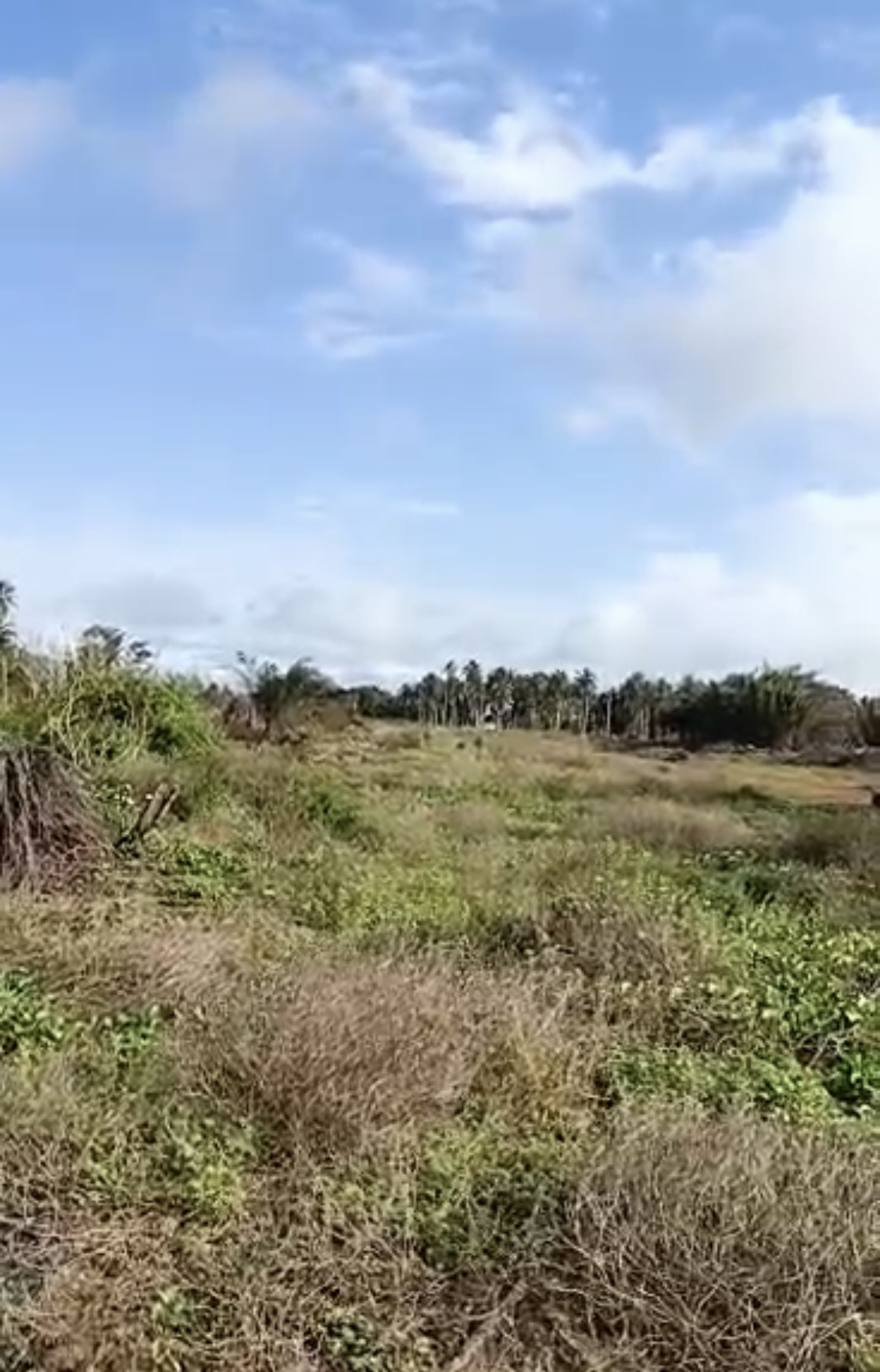 Terrain 1000m2