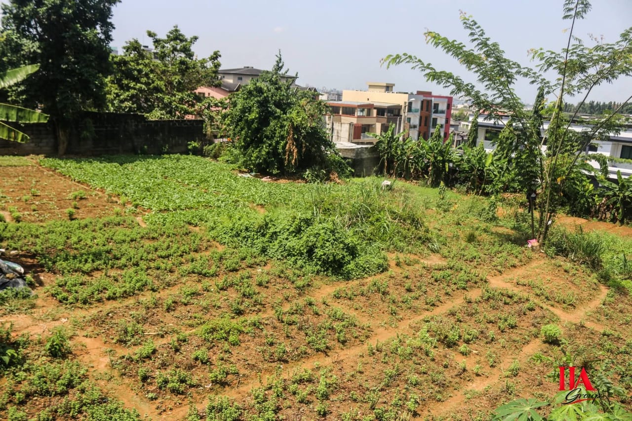 En vente Terrain de 800 m2 à la Riviera 4 cité blanche 2
