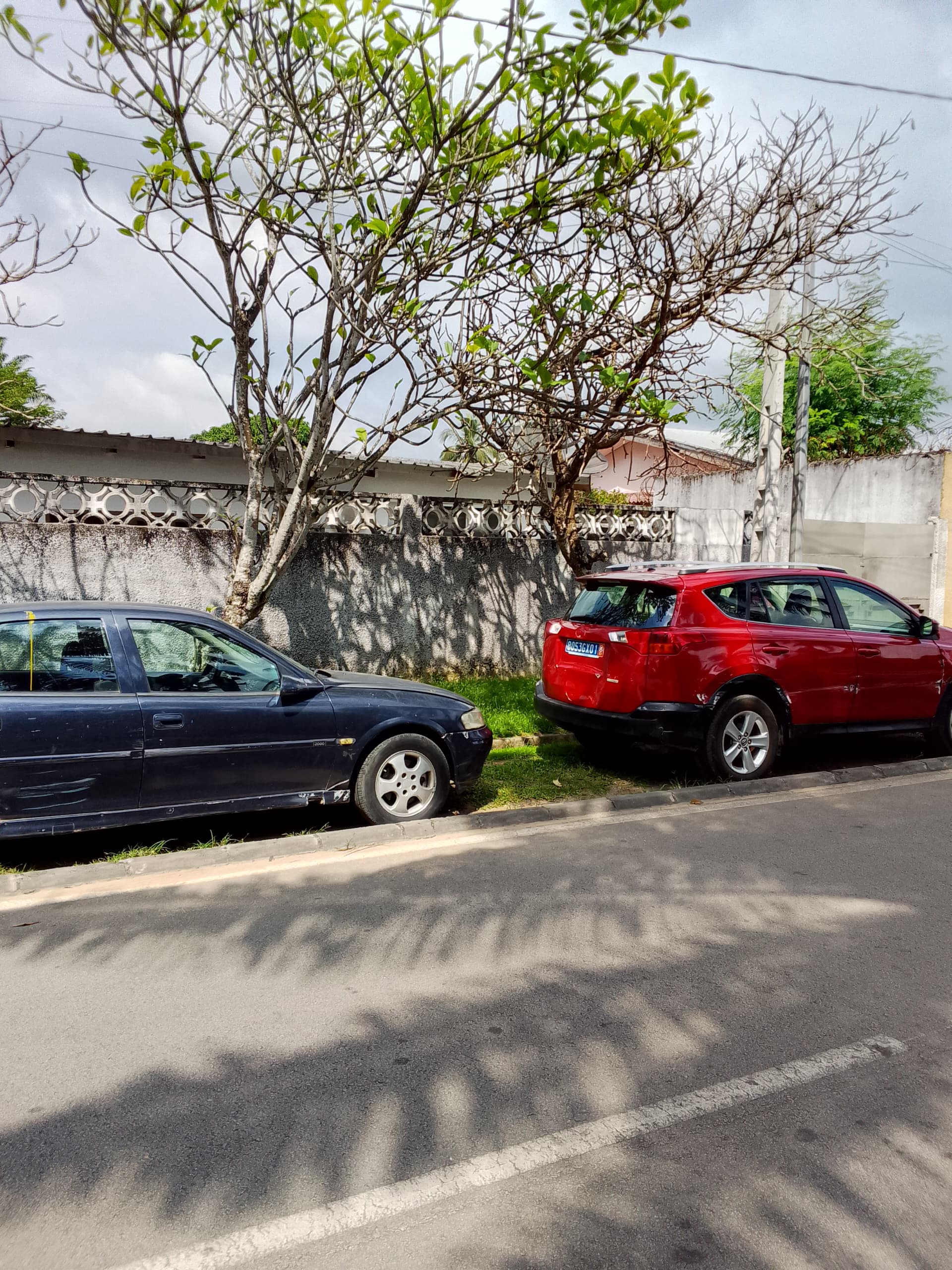 Vendons une villa basse a Cocody Danga